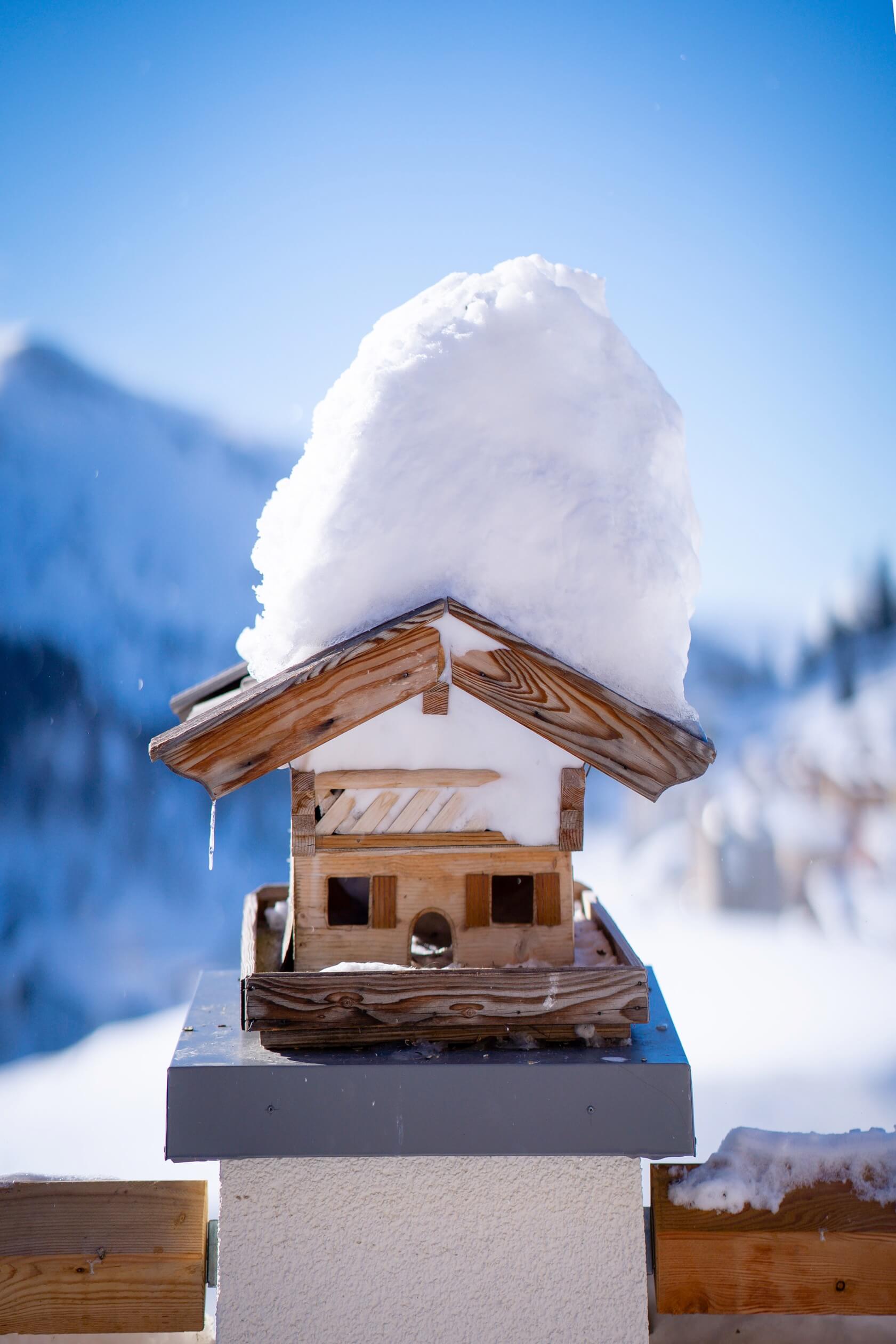 vogelhaus clary haus obertauern